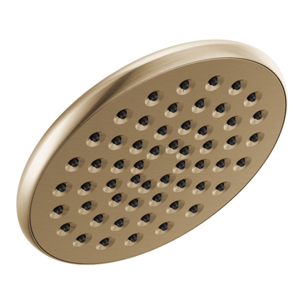 Kayra Raincan Single-Function Showerhead In Champagne Bronze