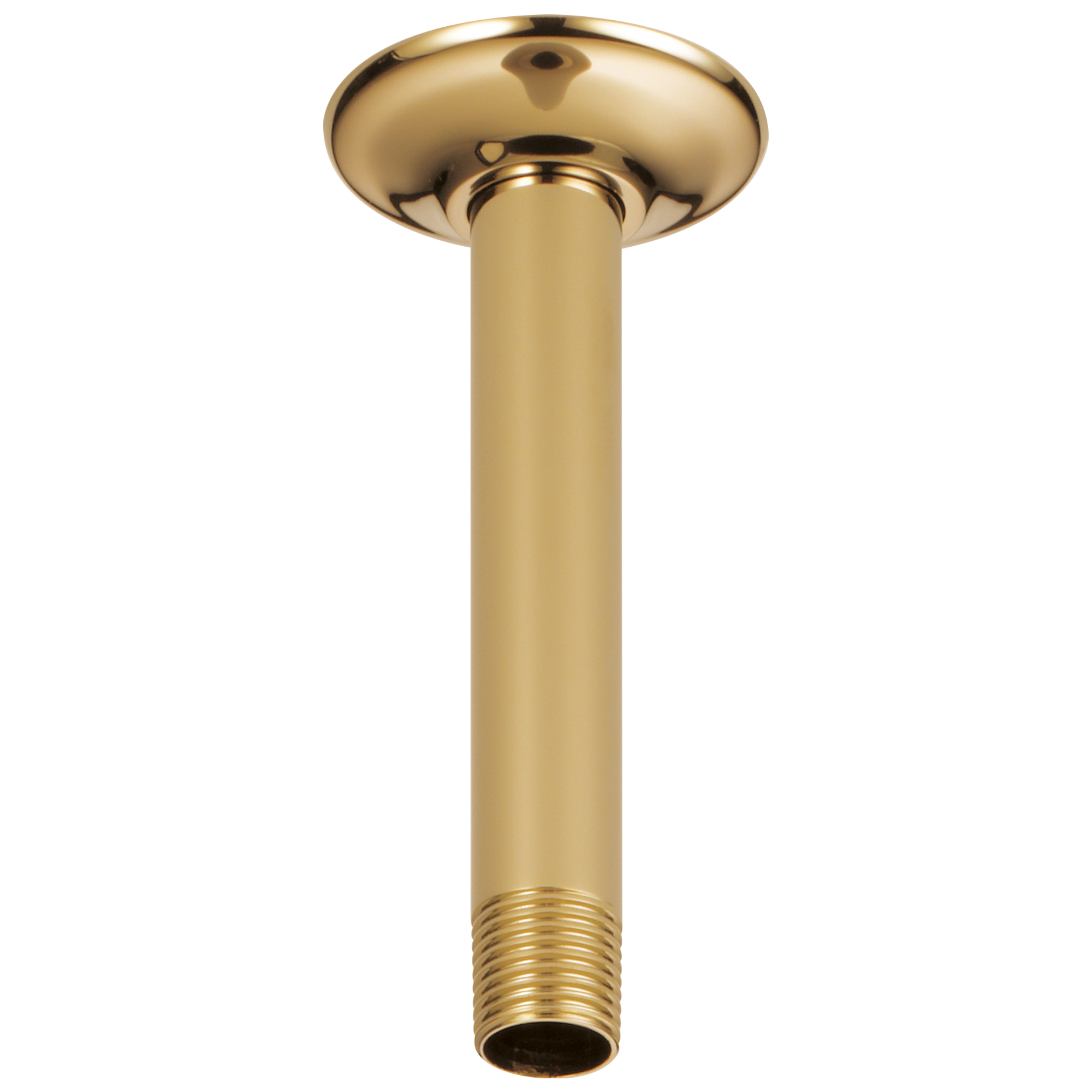 Brizo Essential Ceiling Mount Shower Arm & Flange In Polished Gold