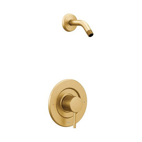 Align Shower Trim Less Showerhead In Brushed Gold