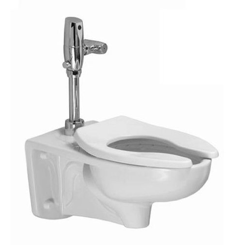 Afwall Universal Toilet Bowl Only Elongated with Slotted Rim for Bedpan Holding White