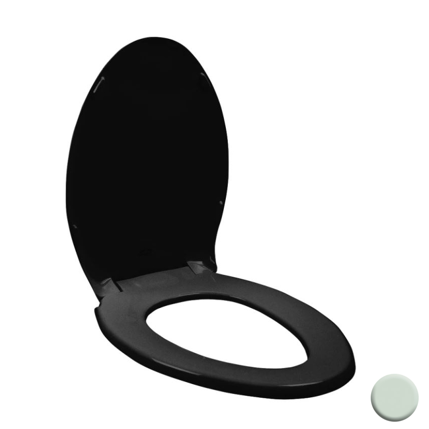 Rise & Shine Elongated Plastic Toilet Seat & Cover in Spring