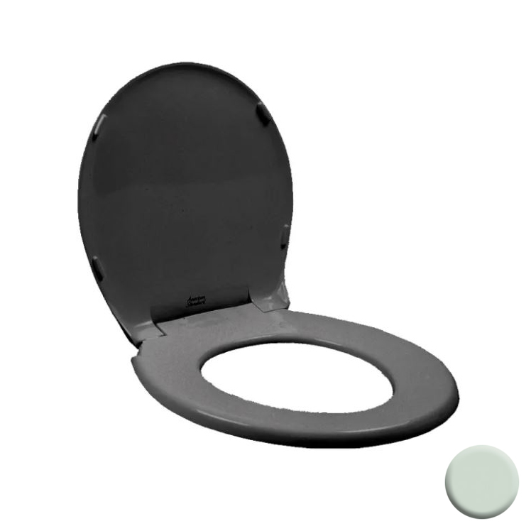 Rise & Shine Round Plastic Toilet Seat & Cover in Spring