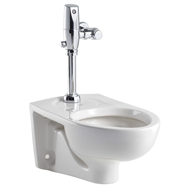 Afwall Elongated One-Piece Toilet In White