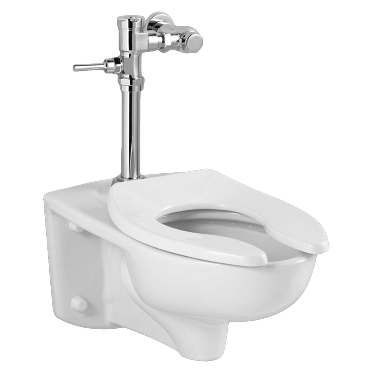 Afwall Elongated One-Piece Toilet In White