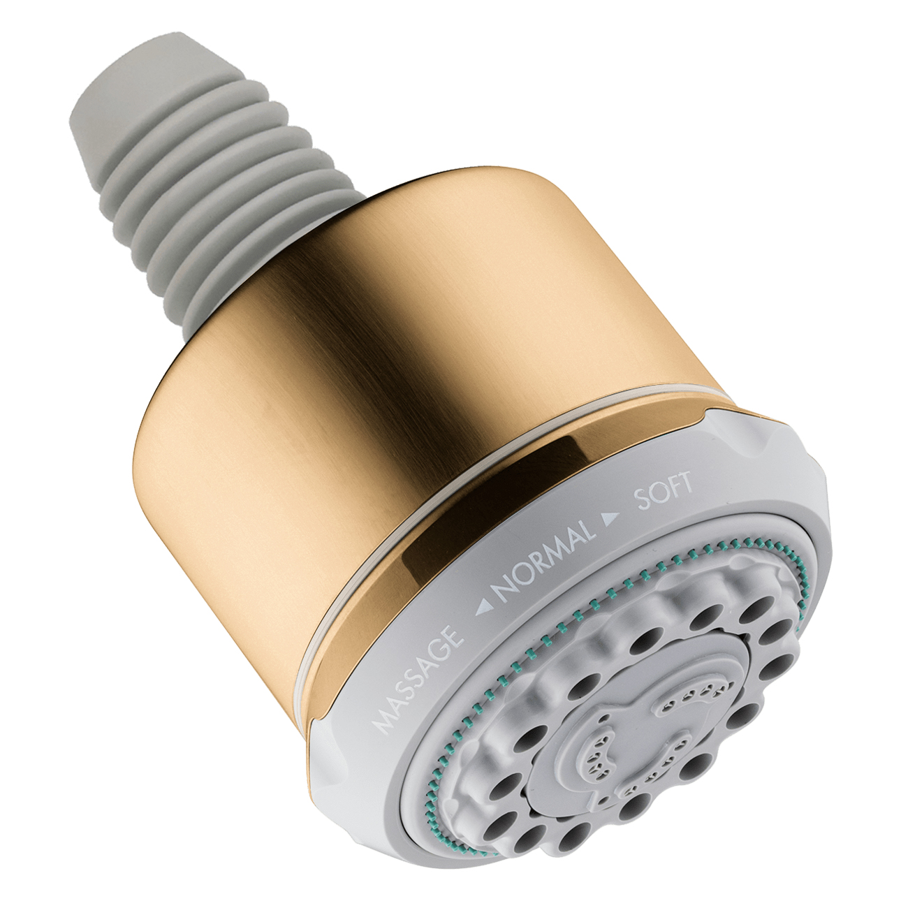 Clubmaster Multi-Function Showerhead In Brushed Bronze