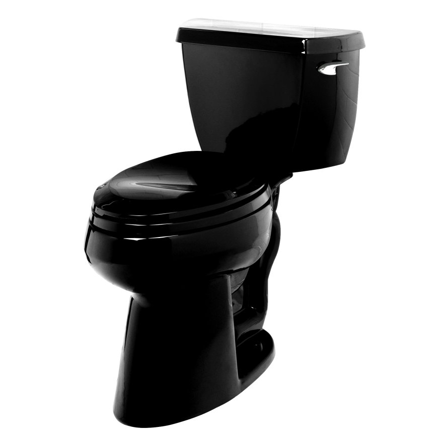 Wellworth 2 pc Elongated Toilet in Black
