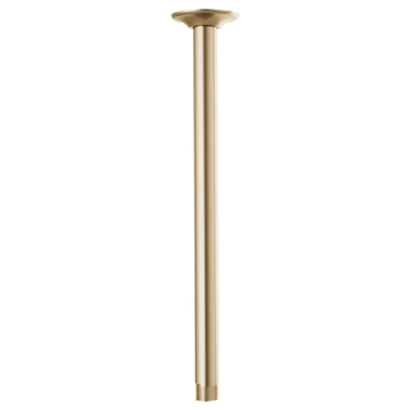 Brizo Essential Shower Arm In Luxe Gold