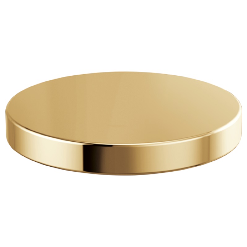 Brizo Litze Hole Cover in Polished Gold