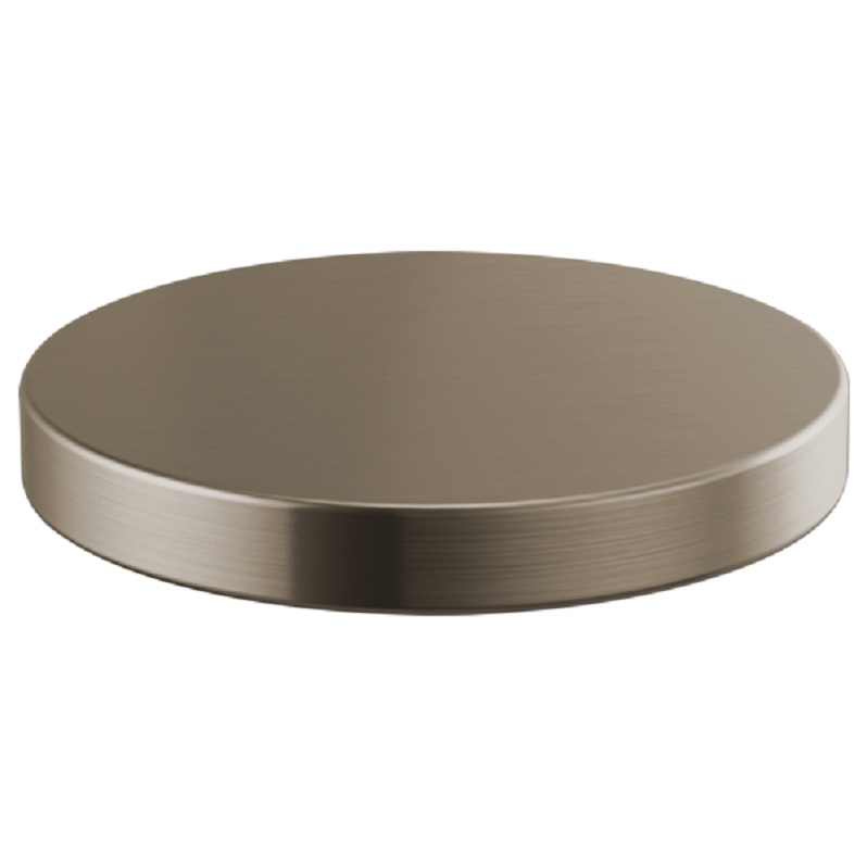 Brizo Litze Hole Cover in Stainless