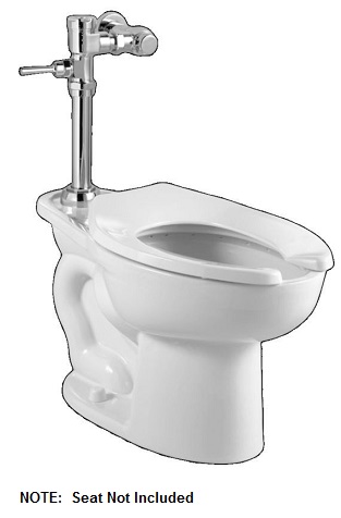 Madera Elongated One-Piece Toilet In White