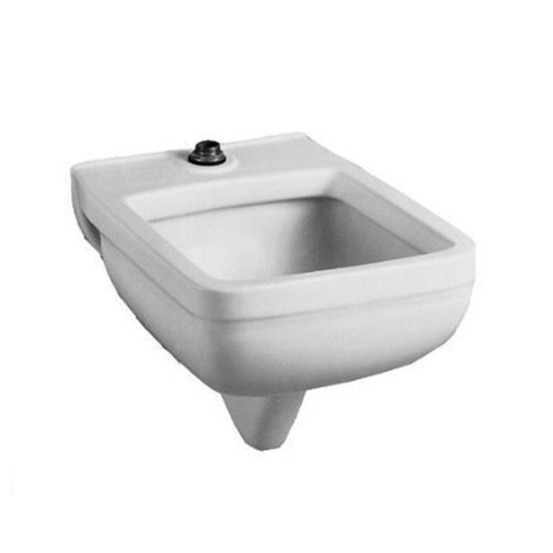 Clinic 25-1/4x21-1/8" Wall Mounted Service Sink in White