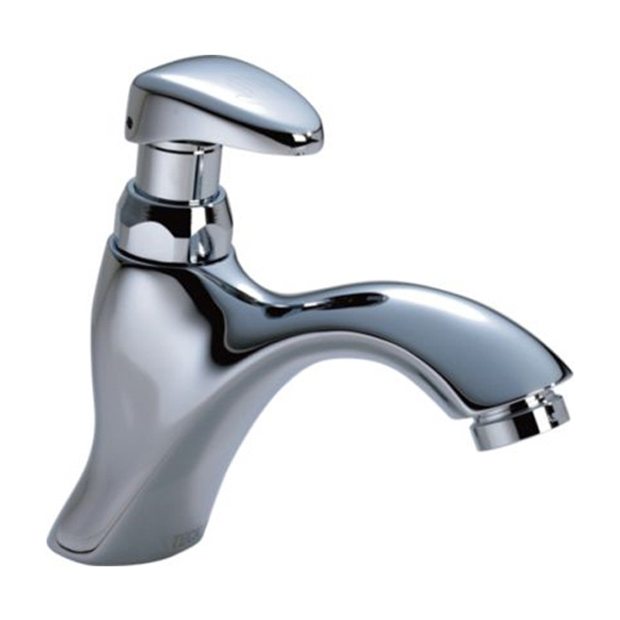 TECK Commercial Metering Lav Faucet In Chrome