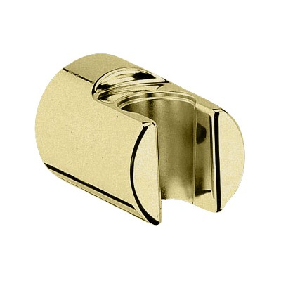 Relexa Wall Mount Shower Holder In Polished Brass