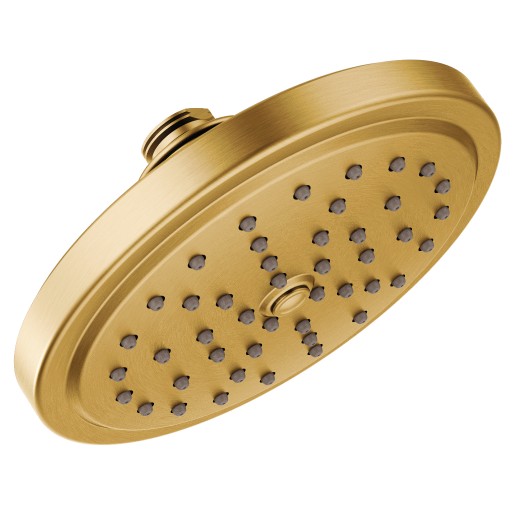 Single-Function Rainshower Showerhead In Brushed Gold