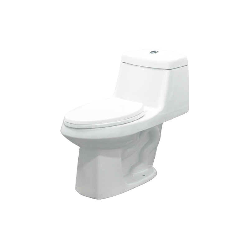 Jackson 1-pc Elongated Toilet Less Seat Dual Flush in White