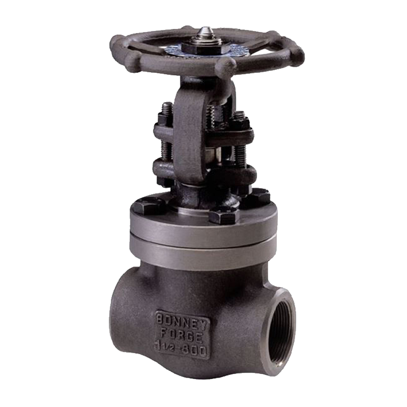 Valves for Carbon Steel Pipe