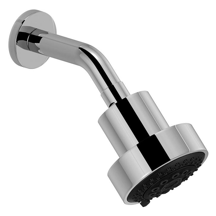 Lisse Multi-Function Showerhead In Polished Chrome