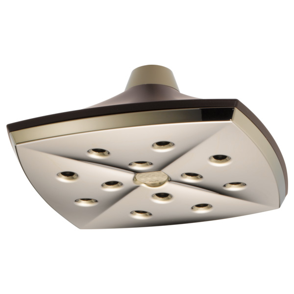 Charlotte Raincan Single-Function Showerhead In Bronze/Pol. Nickel