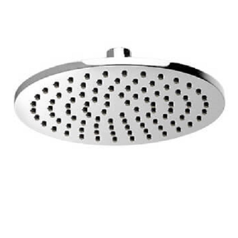 Contemporary Accents Single-Function Showerhead In Polished Chrome