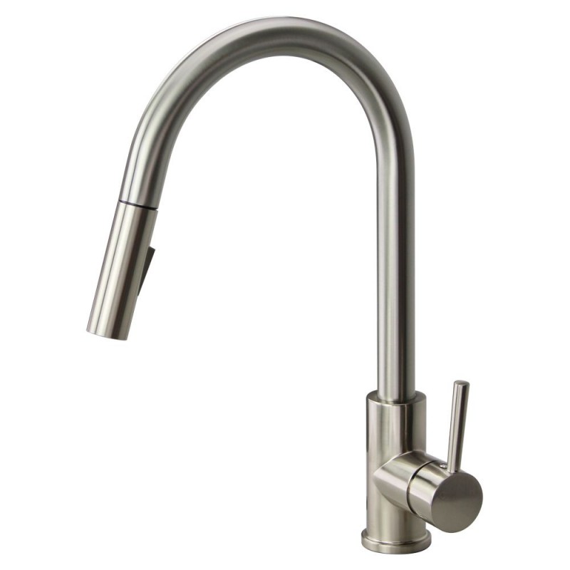 Zayne Single Hole Pull-Out Kitchen Faucet in Luxe Stainless