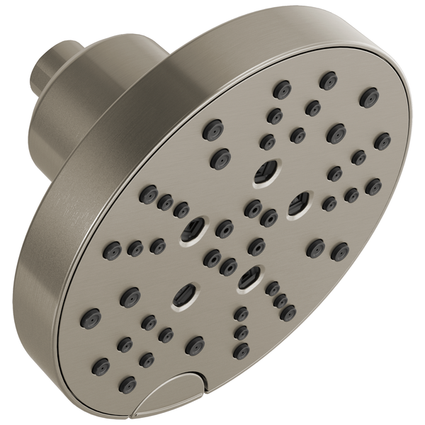 Contemporary Multi-Function Showerhead In Lumicoat Stainless