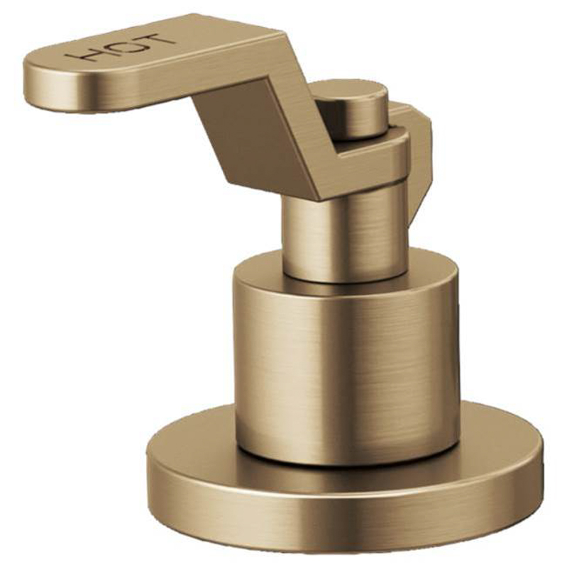 Brizo Litze Industrial Lever Kit in Gold Luxe (2 pc)