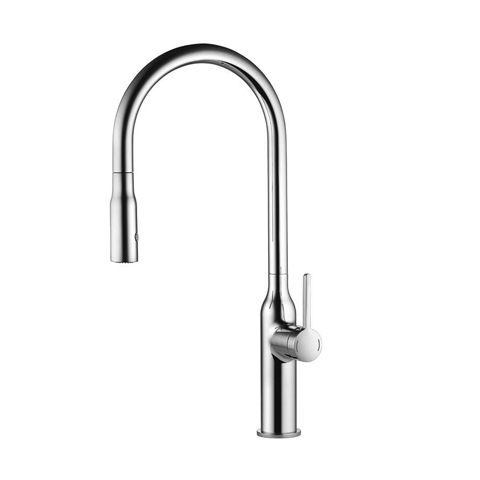 Sin Single Handle Pull-Out Spray Kitchen Faucet Stainless Steel