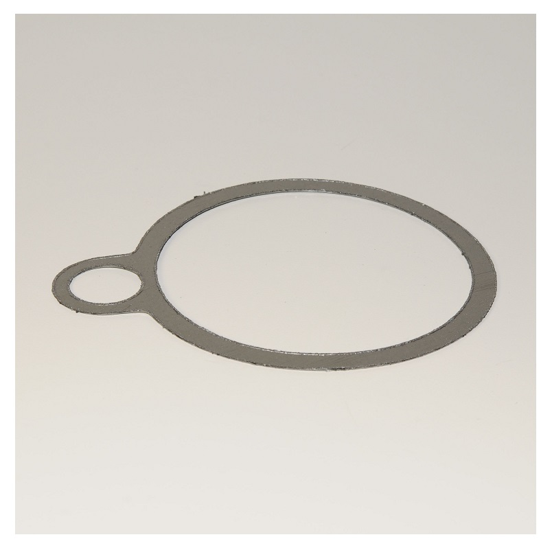 Gasket for Steam Trap Body Arms