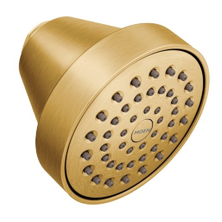 Align Single-Function Showerhead In Brushed Gold