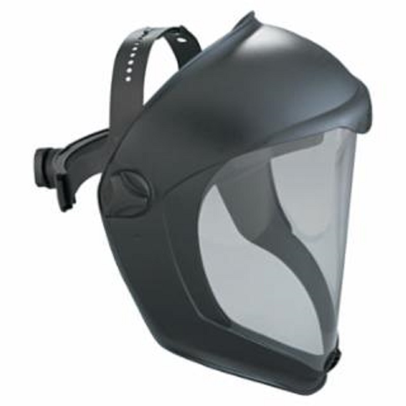 Bionic Faceshield Hardcoat/Antifog Clear Lens Black Matte Shell