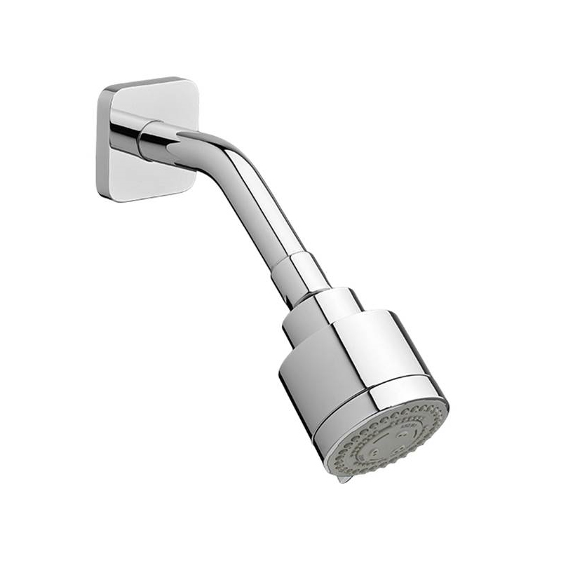 Rem Multi-Function Showerhead In Polished Chrome
