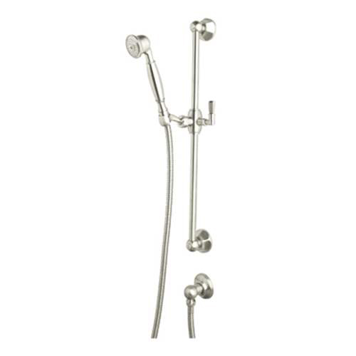 Palladian Single-Function Hand Shower System In Polished Nickel