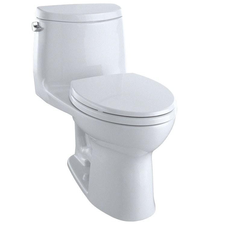 TOILET MS494124CEMFRG#01 ELON CONNELLY