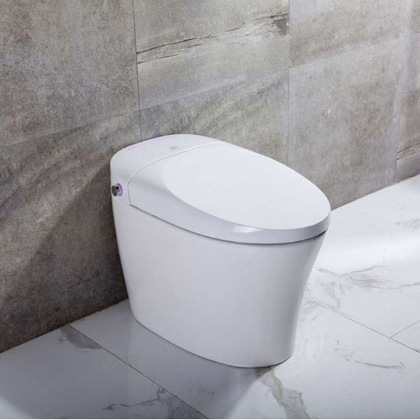 Ginger 1-Piece Elongated Smart Bidet Toilet in White