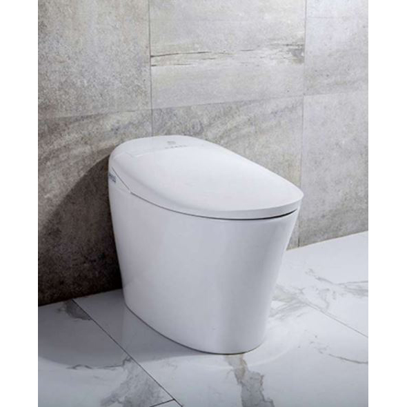 Rosemary 1-Piece Elongated Smart Bidet Toilet in White